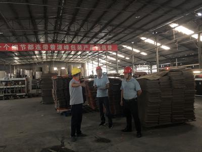 攀蓮鎮(zhèn)扎實開展安全生產(chǎn)隱患排查工作